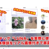 SMマッチング「LUNA（ルナ）」の口コミ・評判・体験談